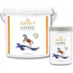 Equine74 Gastric Přírodní směs proti žaludečním vředům pelety 2 kg – Zboží Dáma