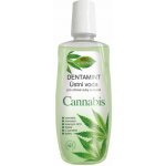 BC Bione Cosmetics Dentamint Cannabis 500 ml – Zboží Dáma BC Bione Cosmetics Dentamint Cannabis 500 ml – Zboží Dáma