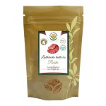 Salvia Paradise Lesklokorka lesklá reishi prášek BIO 100 g – Hledejceny.cz