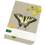 Papírny Brno školní sešit EKO 565 A5 čtverečkovaný – Sleviste.cz