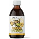EkoMedica Kurkuma s citronem šťáva 250 ml – Hledejceny.cz
