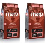 Marp Holistic Salmon ALS Grain Free 2 x 12 kg – Hledejceny.cz