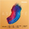 Struna D'Addario Ascenté Violin G String 1/8 Scale Medium Tension