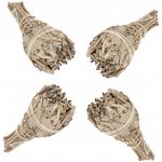 Bilovit Kadidlo Šalvěj Bílá 22 g – Hledejceny.cz