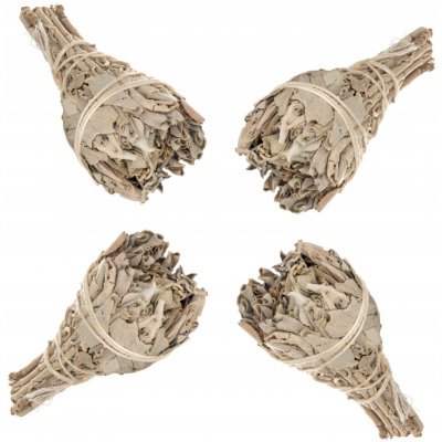 Bilovit Kadidlo Šalvěj Bílá 22 g – Hledejceny.cz