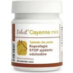 Dolfos Dolvit Cayenne Mini 60 tablet – Hledejceny.cz