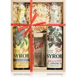 Kitl Syrob se sklenicí Bez a Malina 2 x 0,5 l – Zboží Mobilmania