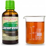 Bylinné kapky Zázvorovník zázvor bylinné kapky tinktura ze zázvoru 50 ml – Hledejceny.cz