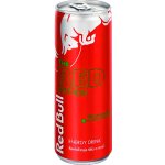 Red Bull Red Watermelon 250 ml – Zboží Dáma