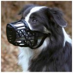 Trixie Náhubek pro psa plastový velikost M - L 26 cm – Zboží Mobilmania