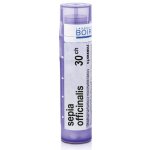 SEPIA OFFICINALIS POR 30CH GRA 4G – Hledejceny.cz