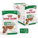 Royal Canin Mini Ageing 12+ 12 x 85 g – Zboží Mobilmania