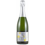 AOC Alsace Domaine Schwach Crémant d´Alsace Blanc de Blancs Extra Brut 12,5% 0,75 l (holá láhev) – Zboží Dáma