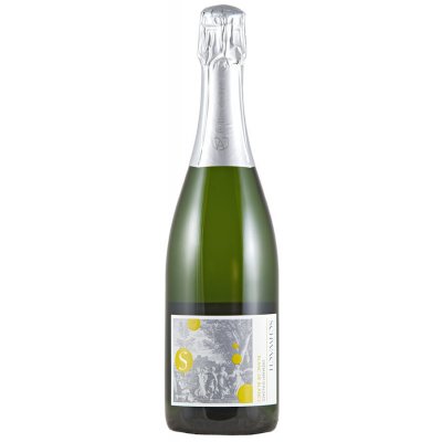 AOC Alsace Domaine Schwach Crémant d´Alsace Blanc de Blancs Extra Brut 12,5% 0,75 l (holá láhev) – Zboží Dáma