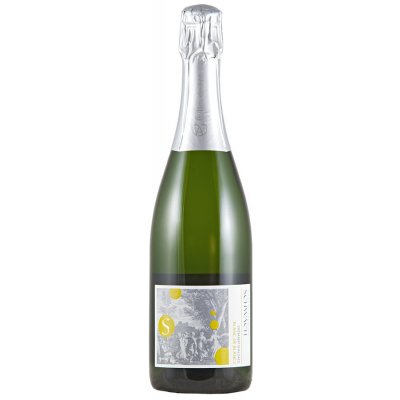 AOC Alsace Domaine Schwach Crémant d´Alsace Blanc de Blancs Extra Brut 12,5% 0,75 l (holá láhev) – Zboží Mobilmania