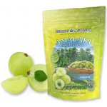 Everest Ayurveda AMALAKI natural 100 g – Sleviste.cz