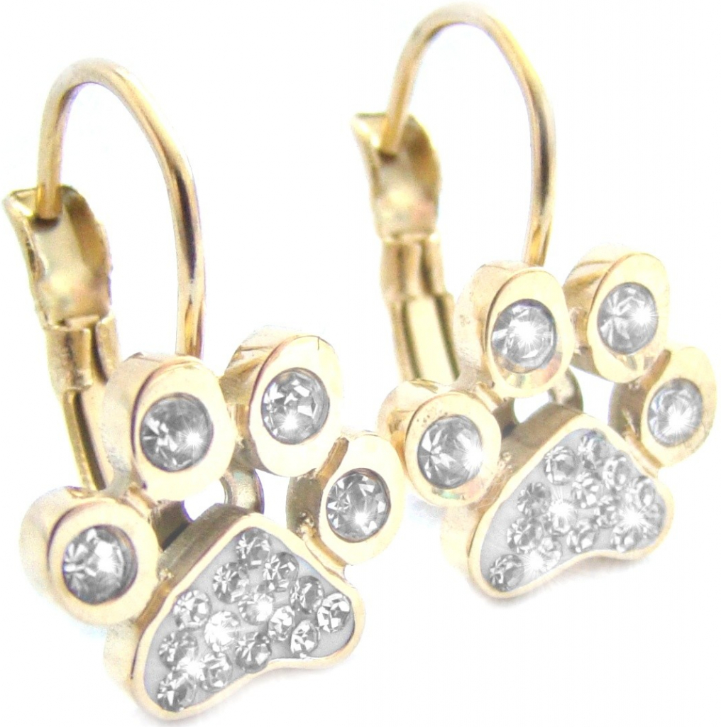 Steel Jewelry náušnice tlapky gold z chirurgické oceli NS180484