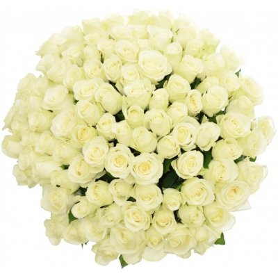 Kytice 100 bílých růží SNOWSTORM 60cm – Zboží Dáma