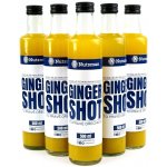 Nutsman Ginger Shot 5 x 0,5 l – Sleviste.cz