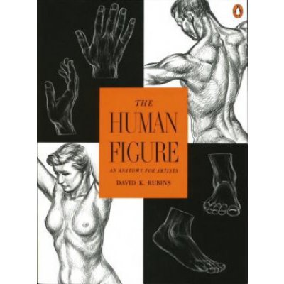 The Human Figure: An Anatomy for Artists Rubins David K.Paperback