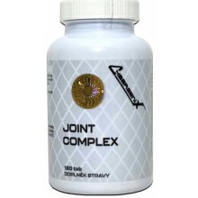 Cybergenix JOINT COMPLEX 120 tablet/114g