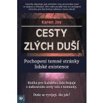 Cesty zlých duší - Karen Joy – Hledejceny.cz