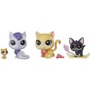  Hasbro Littlest Pet Shop Rodinné balení zvířátek