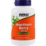 Now Foods Foods Hloh Hawthorn Berry 540 mg 100 kapslí – Hledejceny.cz