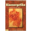 Bioenergetika