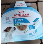 Royal canin Mini Puppy kapsy 4 x 85 g – Zboží Mobilmania