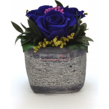 Ina DARK Dark blue - tmavě modrá (3x stabilizovaná "věčná" růže v betonovém květináčku)
