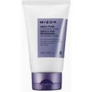 Mizon Great Pure Cleansing Foam pěna na pleť 120 ml