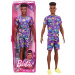 Barbie Model Ken 162 S afro účesem – Hledejceny.cz