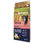 Ontario Adult Large Chicken & Potatoes 2 x 12 kg – Hledejceny.cz