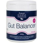 Protexin Equine Premium Gut Balancer 0,4 kg – Zboží Dáma