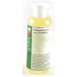 CHEMOFORM Citronela 250ml – Zboží Dáma CHEMOFORM Citronela 250ml – Zboží Dáma