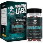 Warrior Labz Ligandrol LGD-4033 100 kapslí – Zbozi.Blesk.cz