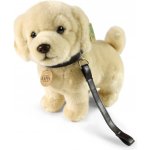 Eco- Friendly Rappa pes zlatý retrívr stojící s vodítkem 25 cm – Zbozi.Blesk.cz