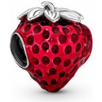 Pandora 791681C01 – Zboží Dáma