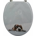 MSV DOGGY 142243 – Zbozi.Blesk.cz