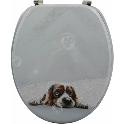 MSV DOGGY 142243 – Zbozi.Blesk.cz