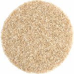 Nutsman Quinoa bílá 250 g – Zboží Dáma