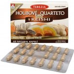 Houbové Quarteto s reishi kapslí 60 – Hledejceny.cz