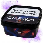 Craftium Plam 200 g – HobbyKompas.cz