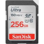SanDisk SDXC Class 10 256 GB SDSDUNC-256G-GN6IN – Hledejceny.cz