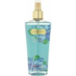 Victoria´s Secret Aqua Kiss tělový sprej 250 ml – Hledejceny.cz