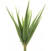 Květina Aloe vera zelená V61
