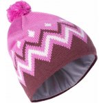Bjorn Daehlie Pattern Super Pink – Hledejceny.cz