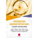 Interpretace Národní účetní rady: s praktickými příklady a komentáři - Edita Ševcovicová, Libor Vašek, Petra Pospíšilová, Alice Šrámková, Jiří Pelák, Petr Vácha, Libuše Mullerová, Ladislav Mejzlík, Ma