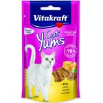 Vitakraft Cat Yums Sýr 40 g – Hledejceny.cz